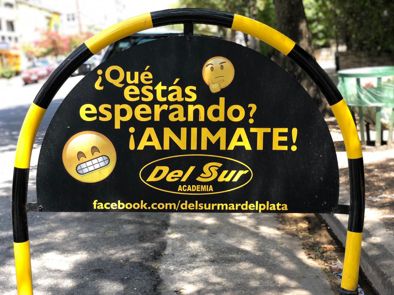 Del Sur Academia - Form